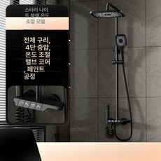 전동 온수 샤워기 세트 욕실용 온도조절, 항온 밸브 코어 스타리블랙, 기본 색상