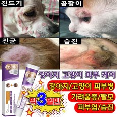 [국내배송] 1/1+1 강아지 고양이 피부 가려움 피부 습 발바닥 보습 연고, 1개, 20g
