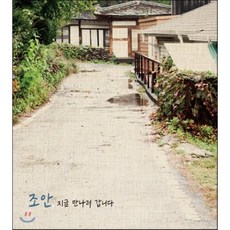 조안 지금 만나러 갑니다, 디자인소리, 김학훈 등저