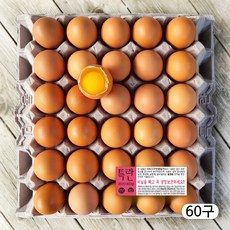 [농장직송] HACCP인증 에그트리농장 특란 생계란(XL), 60구, 1개