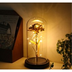 특별한날 어버이날 마음을 전달하는 금 무드등 카네이션, 골드카네이션