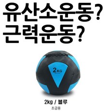 모든A 유산소 운동과 근력운동을 한방에 월볼 2Kg, 1개, 프로모릭스 월볼 2Kg, 프로모릭스_월볼 2Kg