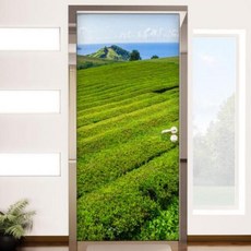 아트박스/꾸밈 ad890-현관문시트지_넓은풀밭