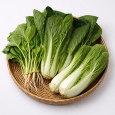 국내산 열무 얼갈이 세트 총 4kg, 1박스, 열무 3kg+ 얼갈이 1kg