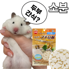 (BEST) 마루칸 햄스터 간식 소분, 2g, 3개