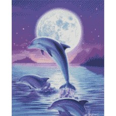 하모니아트 남녀공용 DIY 보석십자수 캔버스형 40X50, 06. 돌고래, 1개