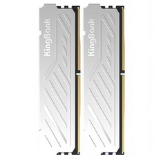 킹뱅크 실버 듀크 DDR5 하이닉스 A다이 6000MHZ CL30 데스크톱용 램 16GB 실버 2개입, 1개, K40603016G