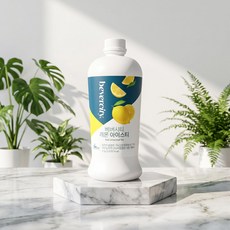 세미 베버시티 레몬 아이스티 2kg 2개