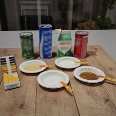 pH측정전문가용품 화장품pH검사스트립 14단계, 1