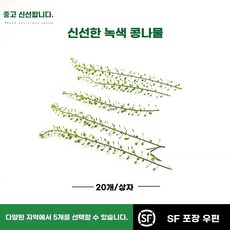 비둘기 퇴치망 퇴치법 버드가드 버드스파이크, 1개, A. 신선한 크리스탈 풀 녹색 도라지 호텔 양식 프리젠