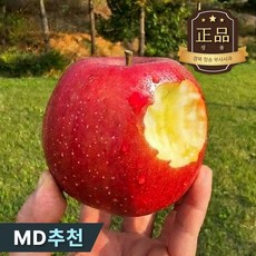 [사과축제1등]산지직송 고당도정품 아삭한 청송 얼음골사과, 1박스, 2kg (중소)