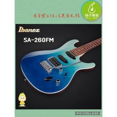 Ibanez SA-260FM 電吉他, 1個