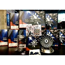 PGO TIGRA200 皇欽前組 (少量現貨)