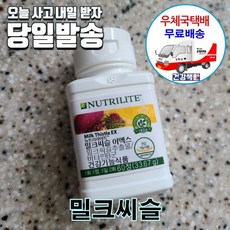 암웨이 밀크씨슬 이엑스 (60정/30일) + 유산균 (밸런스 위드인) [우체국택배]