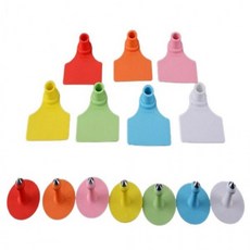 슈에뜨지니가축 귀이표, 1개