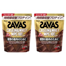 카제인 웨이 프로틴 코코아맛, 810g, 2개