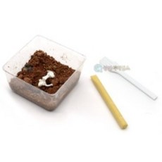 SA 숨겨진 공룡 뼈를 찾아라 (1인용 포장) 과학교구 과학키트 방과후수업 초등과학