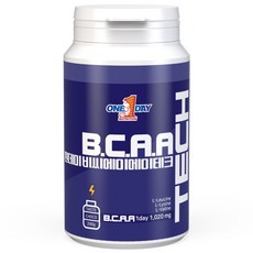 원데이뉴트리션 초코맛_BCAA테크, 1개, 200g