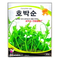 호박순 씨앗 20립 잎과 줄기 꽃을 따먹는 전용품종 호박종자