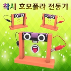 착시 호모폴라 전동기