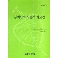 부처님의 실용적 가르침, 고요한소리, 존 디 아이어랜드