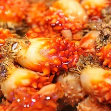 26년산 통영 산지직송 활멍게 2kg 14~24미 외, 1박스, 깐멍게 500g