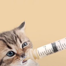 동물용 피딩 주사기 애완견 고양이 피딩 주사기 M 4종yh.7+4IlH