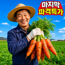 [오늘만초특가] 국내산 제주구좌당근 흙당근 햇당근, 1개, 10kg (중)