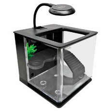 帥哥水族 小螃蟹 懶人烏龜缸 CA-ET-004 烏龜缸 魚缸 水族箱, 風格黑, 1個