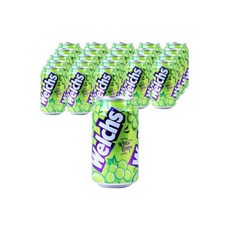 웰치스 청포도맛 355mlX24ea