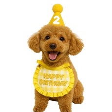 엘유엔 반려동물 생일케이프 모자 숫자스티커 세트, 1개, 옐로우
