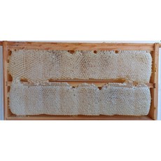 한국양봉 진흥원 허니콤 벌집꿀, 1개, 2.8kg