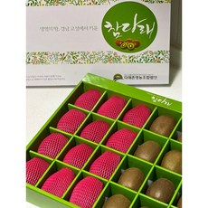 국산 키위 참다래 그린키위 선물용 24과 경남 고성 참다래마을 산지직송 선물포장 과일선물 포장이쁜 연말선물, 24과(대/특대과), 3kg 전후