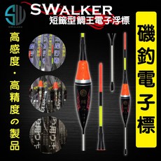 電子浮標 磯釣短籤(不鏽鋼彈簧標腳) 電子短籤 籤仔 黑毛 白毛 臭肚, 1個, 鯛王(商標隨機)2.5錢