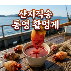[청록상회] 통영 산지직송 활멍게 제철 싱싱한, 1개, 활멍게 중품(24-30) 2kg