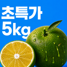 [산지초특가] 국내산 제철 청귤 풋귤, 1박스, 5kg (못난이)