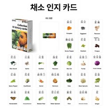 채소 인쇄 어린이 음성 단어 라벨 카드 세트, 55 채소 인식 플래시 카드, 1피스, 1개