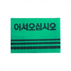 푸름살림 카펫매트 로고(60x90) 그린, 1개, 상세페이지 참조