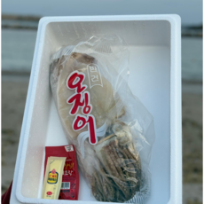 [산지직송] 삼정수산 국내산 반건조 오징어 피데기 특대, 1개, 5미 350g