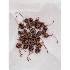 메타세콰이어열매 미니솔방울 드라이플라워 어린이집놀이(20g), 25개