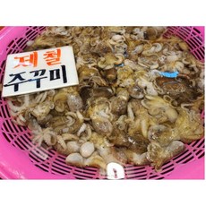 봄 제철 국산 활 쭈꾸미 산지직송 알쭈꾸미 1kg, 1박스, 2kg