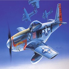 현숙상회 아카데미 1대72 P-51D 무스탕 (12485) 비행기모형만들기