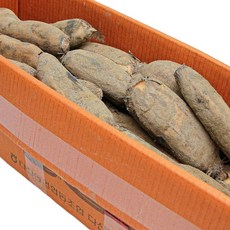 국내산 특품 연근 반박스 5kg 피연근 가락시장 당일새벽경매, 껍질있는 연근 반박스(약 5kg내외), 1개