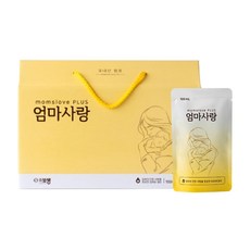 보생 엄마사랑 100ml (모유수유 완모맘 필수템 액상차), 30개