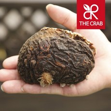 제철 통영 돌멍게 1kg 자연산 멍게, 1개, 1kg (5-8미)