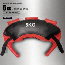 모래 웨이트 크로스핏 트레이닝 헬스 중량 백 홈트 근력 홈트레이닝, D. 빨강/검정 5kg 가죽 크로와상