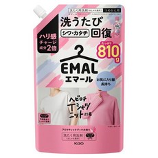 Kao 花王 EMAL 芳香時尚衣物洗衣精 花束香 補充包, 1個, 810g