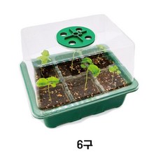 모종트레이 온실 화분 6구, 1개
