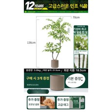 조화화분 인테리어 175cm 장식품 cm 식물, 남천죽 135cm 화분 포함-밀크티 브라운
