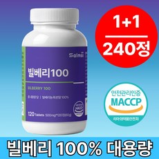 모노벨라 빌베리 100% 농축분말 영양제 HACCP, 2개, 120회분